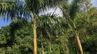 Foto 12 de Lote/Terreno à venda, 13650m² em Serra Do Mato Grosso, Saquarema