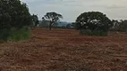 Foto 30 de Fazenda/Sítio com 2 Quartos à venda em Zona Rural, Corumbá de Goiás