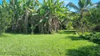 Foto 75 de Fazenda/Sítio com 3 Quartos à venda, 300m² em Manoel Ribeiro, Maricá