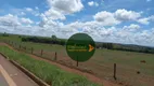 Foto 14 de Fazenda/Sítio à venda, 4307600m² em Zona Rural, Luziânia