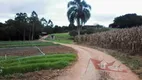 Foto 6 de Fazenda/Sítio com 9 Quartos à venda, 72600m² em Campina do Taquaral, São José dos Pinhais