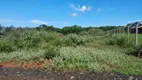 Foto 4 de Lote/Terreno à venda, 5000m² em Chacaras Di Carvalho, Uberaba