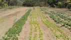 Foto 6 de Fazenda/Sítio com 2 Quartos à venda, 72000m² em Vale das Garças, Campinas