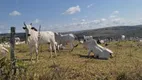 Foto 11 de Fazenda/Sítio com 2 Quartos à venda em Zona Rural, Corumbá de Goiás