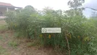 Foto 4 de Fazenda/Sítio com 2 Quartos à venda, 12000m² em Três Vendas, Araruama