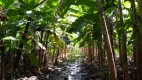 Foto 22 de Fazenda/Sítio à venda, 70000m² em , Extremoz