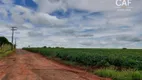 Foto 8 de Fazenda/Sítio à venda, 100000m² em Parque dos Ipês, Holambra