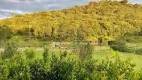 Foto 6 de Fazenda/Sítio com 3 Quartos à venda, 50000m² em Centro, Natividade da Serra