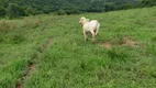 Foto 12 de Fazenda/Sítio com 5 Quartos à venda, 330m² em Zona Rural, Alvorada do Norte