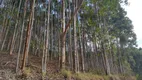 Foto 8 de Fazenda/Sítio à venda, 3630000m² em Bairro do Cedro, Paraibuna