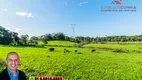 Foto 16 de Fazenda/Sítio à venda, 70000m² em Zona Rural, Três Coroas