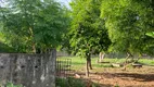 Foto 15 de Fazenda/Sítio com 3 Quartos à venda, 19900m² em , São José de Ribamar