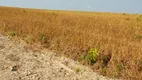 Foto 2 de Fazenda/Sítio com 3 Quartos à venda, 90m² em Zona Rural, Novo Acordo