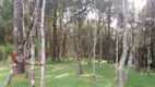 Foto 14 de Fazenda/Sítio com 1 Quarto à venda, 5000m² em Campo Largo da Roseira, São José dos Pinhais