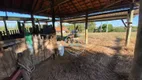 Foto 13 de Fazenda/Sítio com 3 Quartos à venda, 3200m² em Jardim Porangaba, Águas de São Pedro