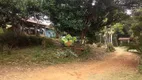 Foto 19 de Fazenda/Sítio com 3 Quartos à venda, 220m² em Zona Rural, Simão Pereira