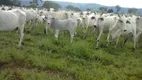 Foto 3 de Fazenda/Sítio à venda em Centro, Alvorada do Norte