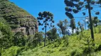 Foto 6 de Fazenda/Sítio à venda, 20000m² em Baiano, Urubici