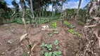 Foto 6 de Fazenda/Sítio com 1 Quarto à venda, 5000m² em Centro, Biritiba Mirim