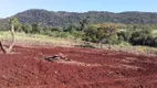 Foto 18 de Fazenda/Sítio com 2 Quartos à venda, 70m² em Zona Rural, Minaçu