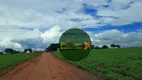 Foto 13 de Fazenda/Sítio à venda, 10164000m² em Zona Rural, Doverlândia