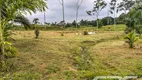 Foto 29 de Fazenda/Sítio com 3 Quartos à venda, 176m² em Vila Nova, Joinville