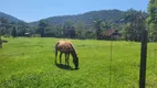 Foto 24 de Fazenda/Sítio com 3 Quartos à venda, 200m² em Vila Nova, Joinville