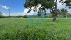 Foto 7 de Fazenda/Sítio com 3 Quartos à venda, 80m² em Zona Rural, São Sebastião do Oeste