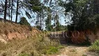 Foto 4 de Lote/Terreno para venda ou aluguel, 20000m² em Chácaras Três Lagoinhas, Mairinque
