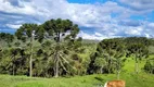 Foto 6 de Fazenda/Sítio com 1 Quarto à venda, 40000m² em , Rio Rufino