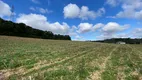 Foto 4 de Fazenda/Sítio à venda, 24200m² em Campo Novo, Campo Magro