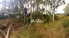 Foto 4 de Lote/Terreno à venda, 365m² em Cônego, Nova Friburgo