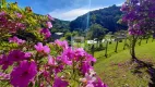 Foto 33 de Fazenda/Sítio com 5 Quartos à venda, 350m² em Colonia Santana, São José