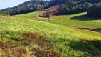 Foto 15 de Fazenda/Sítio à venda, 22000m² em Centro, Campo Magro