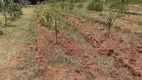 Foto 35 de Fazenda/Sítio com 3 Quartos à venda, 2m² em Centro, Gravataí