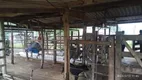 Foto 2 de Fazenda/Sítio com 2 Quartos à venda, 10m² em , Morrinhos