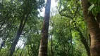 Foto 13 de Fazenda/Sítio com 2 Quartos à venda, 15m² em Zona Rural, Colinas do Sul