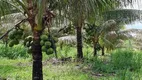 Foto 3 de Fazenda/Sítio com 4 Quartos à venda, 900000m² em Centro, Valença