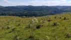 Foto 9 de Fazenda/Sítio com 1 Quarto à venda, 450000m² em Oliva, Caxias do Sul