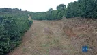 Foto 6 de Fazenda/Sítio com 2 Quartos à venda, 120000m² em Zona Rural, São João da Mata