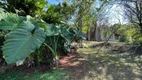 Foto 3 de Fazenda/Sítio com 2 Quartos à venda, 10m² em Zona Rural, Ibiporã