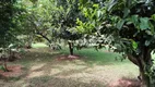 Foto 51 de Fazenda/Sítio com 4 Quartos à venda, 343m² em Jardim Roseira de Cima, Jaguariúna