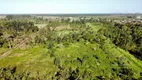 Foto 28 de Lote/Terreno à venda, 200000m² em Barra de Itapocú, Araquari