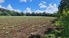 Foto 19 de Fazenda/Sítio com 2 Quartos à venda, 450000m² em Centro, Rio Rufino