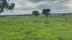 Foto 6 de Fazenda/Sítio à venda, 1510000m² em Zona Rural, Aparecida do Taboado