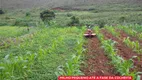 Foto 35 de Fazenda/Sítio à venda, 230m² em Varzea Santo Antonio, Bias Fortes