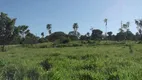 Foto 5 de Fazenda/Sítio com 2 Quartos à venda, 100m² em Area Rural de Goiania, Goiânia