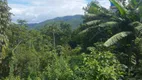 Foto 25 de Fazenda/Sítio com 2 Quartos à venda, 3500m² em Zona Rural, Miracatu