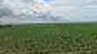 Foto 3 de Fazenda/Sítio com 2 Quartos à venda, 3200000m² em Zona Rural, Jaciara