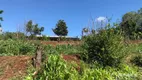 Foto 16 de Fazenda/Sítio com 3 Quartos à venda, 120m² em Vera Cruz, Sarandi